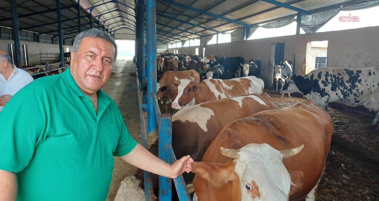 gurer et fiyatlarina isyan etti uretici degil ithalat kazaniyor Pxmu4c8I.jpg