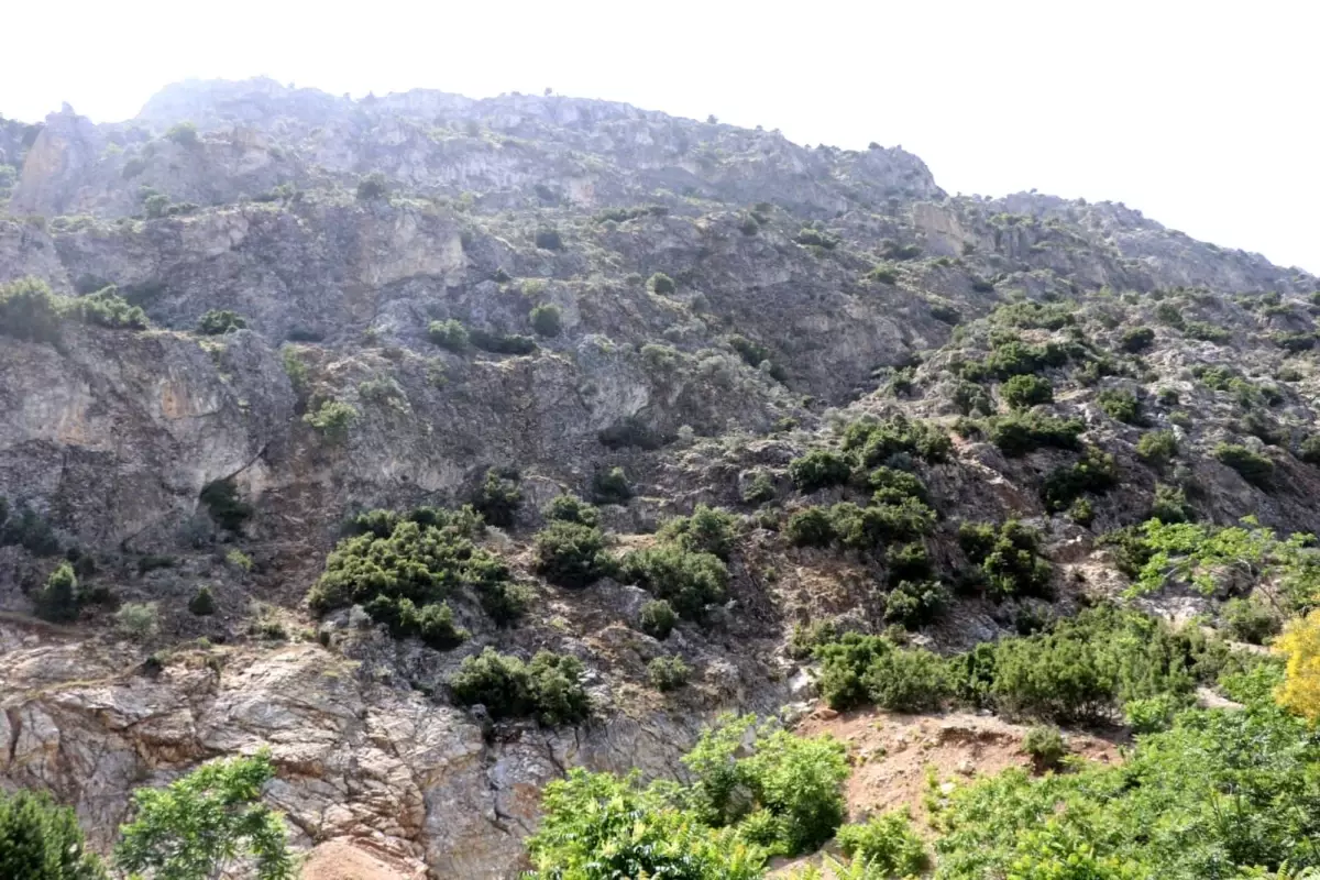 ispartada kaybolan 75 yasindaki adam icin arama calismalari baslatildi xMEelzVw.jpg