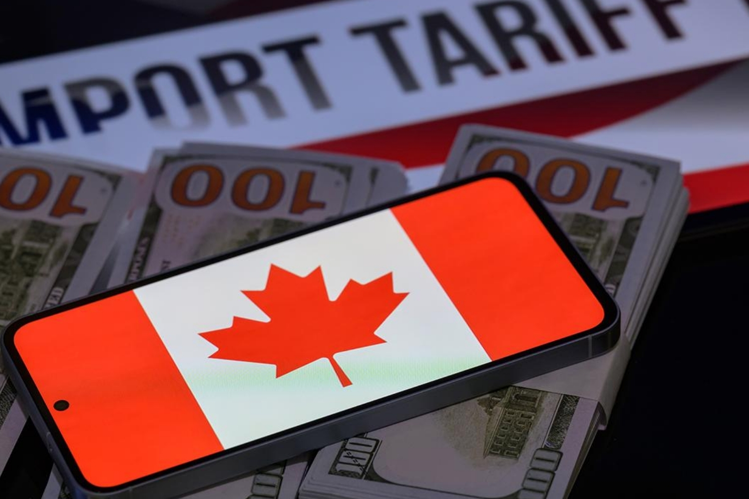 kanada abdnin tarifeleriyle mucadelede 141 milyar dolarlik harcamayi ongoren butce tasarisi sundu peSx1bpy.jpg