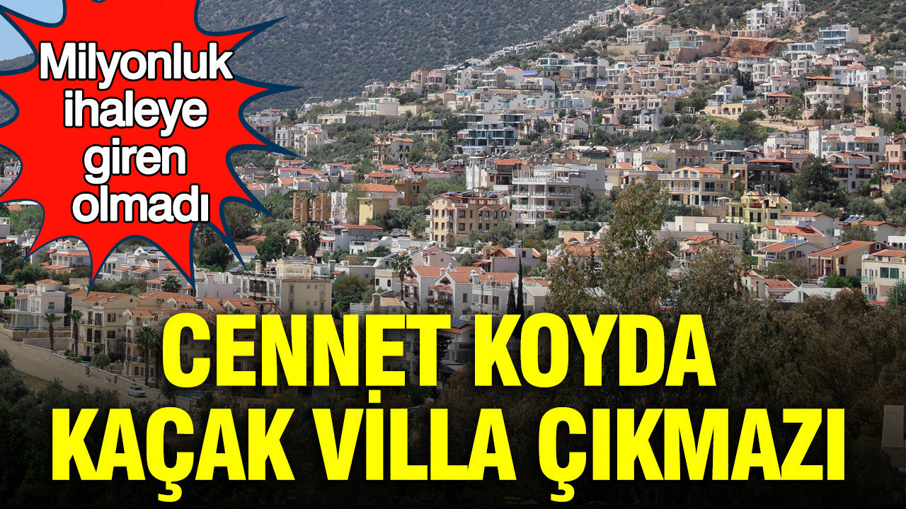 Cennet Koy’daki Kaçak Villalar İçin İhaleye İlgi Yok: Milyonluk Proje Hayal Kırıklığına Uğradı